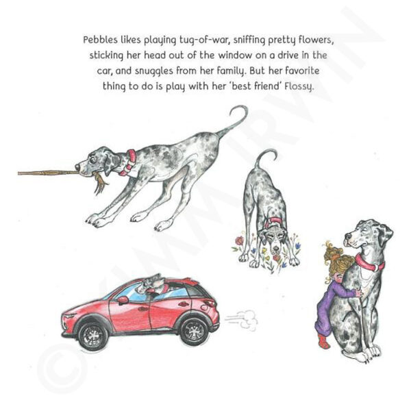 page about Pebbles the Dane from the children's book The Adventures of Flossy and Pebbles the Dane, The Treasure Hunt
